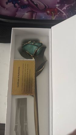 24k gold dipped rose