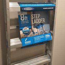 8 Ft Ladder
