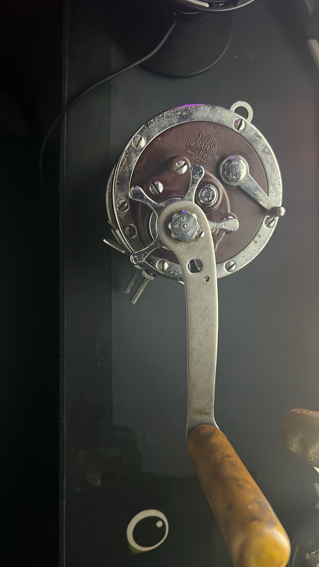 619550_3