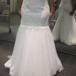 Wedding Dress( New) 