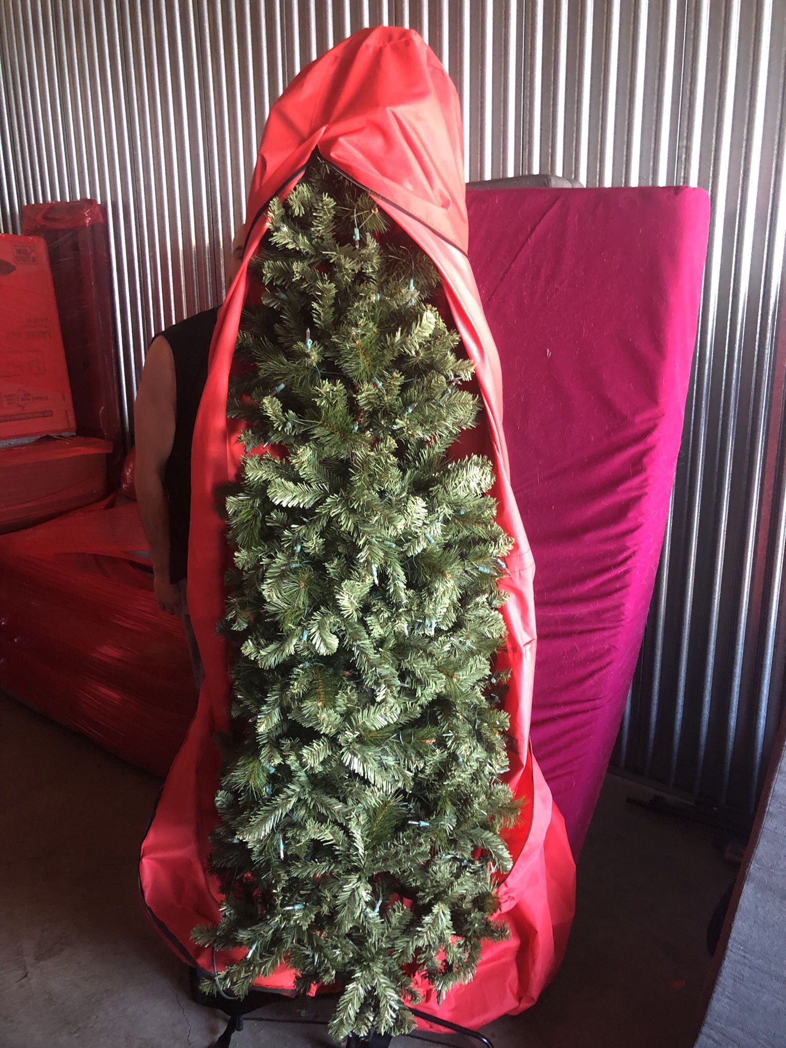 Christmas Tree With Lights