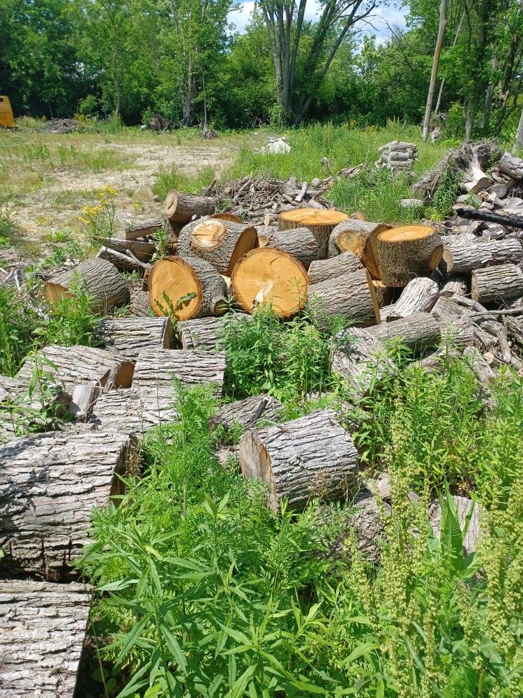 Oak Saesoned Logs. 200.00 For Truck Load. 12ft Stake Truck Bed Full Make Offer If Interested