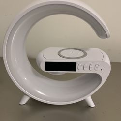 Multi-functional Wireless Speaker 