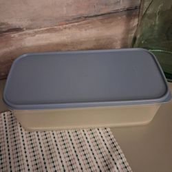 Vintage Tupperware Bread/Vegetable Storage Container 