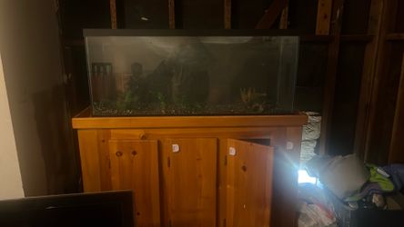 Fish Tank