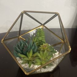 Succulent Plant Holder