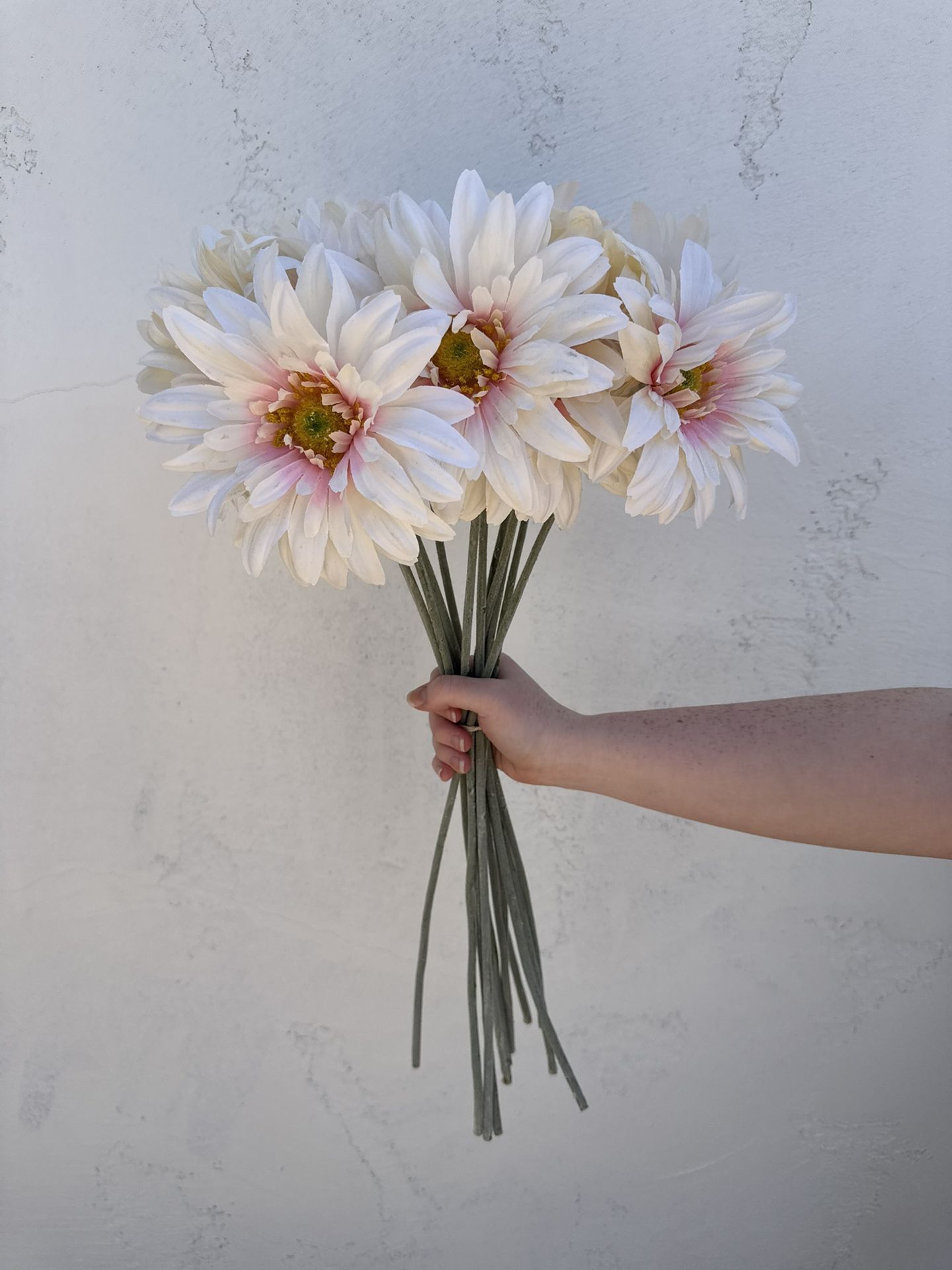 Artificial Tall White And Pink Daises (13 Stems)