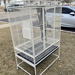 Bird Cage for Sale