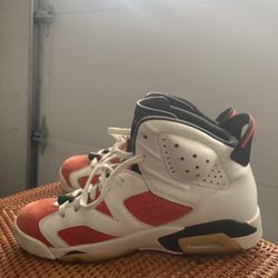 2017 Jordan 6  Gatorade  10.5 