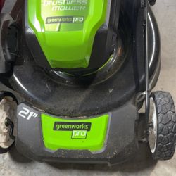 Eco Lawn Mover 
