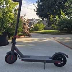 electric scooter 