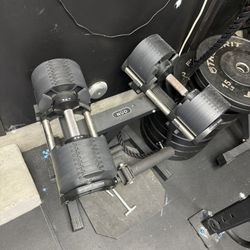 Adjustable Dumbbells