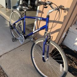 DiamondBack Edgewood Bike