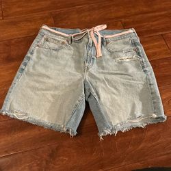 American Eagle Shorts Size 10