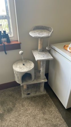 For cat is new never use