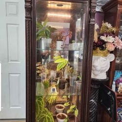 TROPHY CASE/ PLANT TERRARIUM 