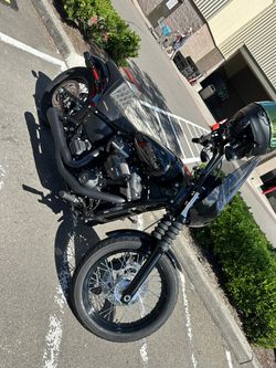 2019 Harley Davidson Street Bob