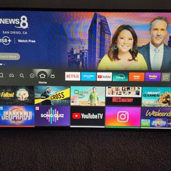 Commercial Grade Samsung 65 inch 4K HDTV/Display w/ Amazon Firestick