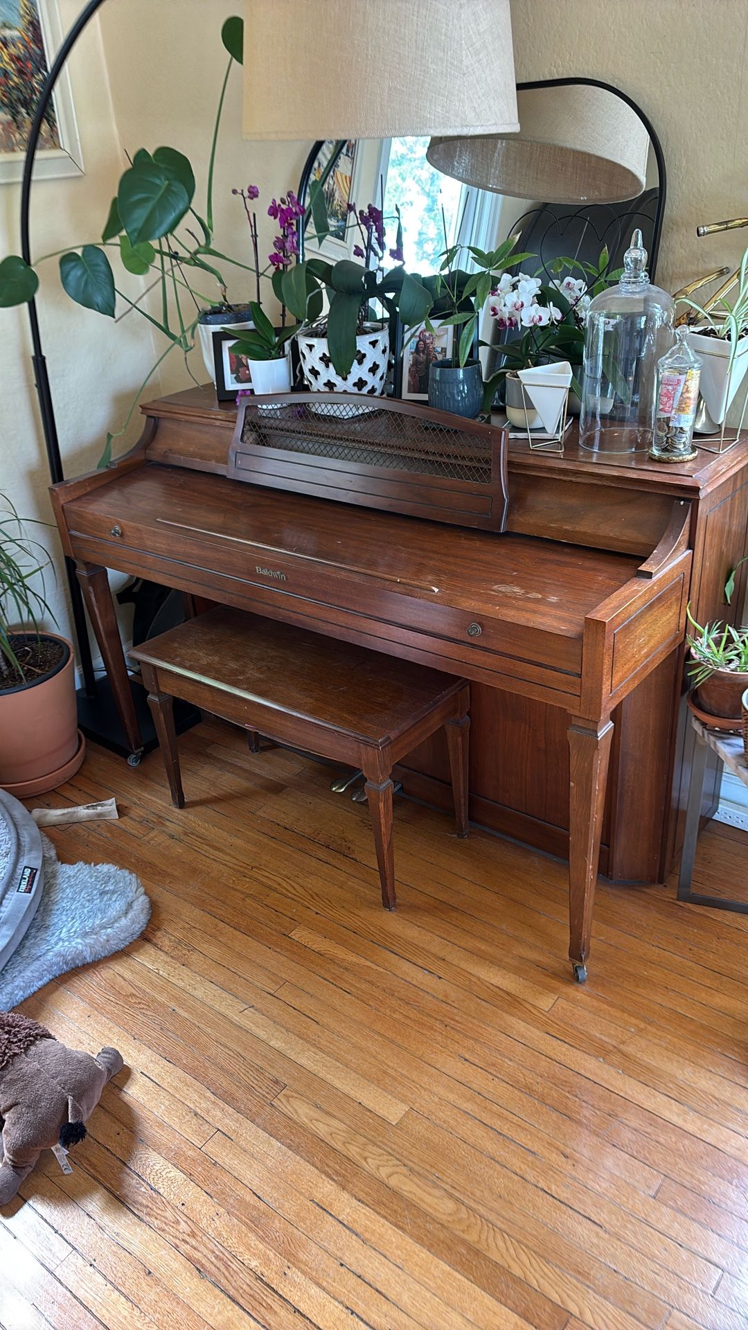 Free Baldwin Upright Piano -Tacoma, Proctor Area