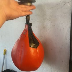 5 Speed Bags - Everlast (5 For $40)