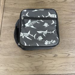 Pottery Barn Glow In The Dark Bones Lunch Box