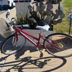 Felt Cafe Bike Ultra Lite!