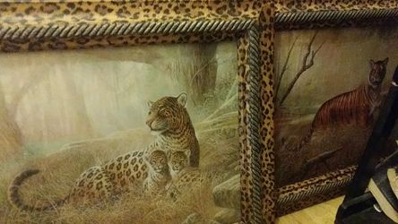 Cool Cheetah print frame tiger pictures