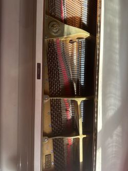 Baby grand young change g-157