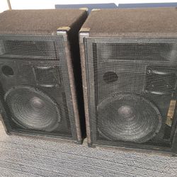 Peavey Series 3 International Speaker