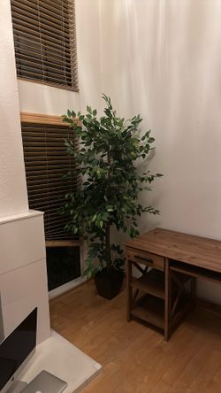 Tall fake tree