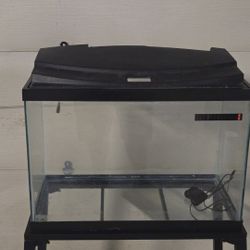 20 Gallon Fish Tank And Accessories 