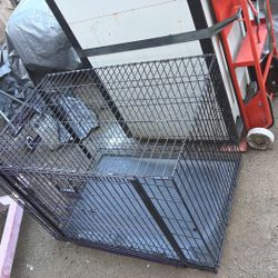 Large Kennel