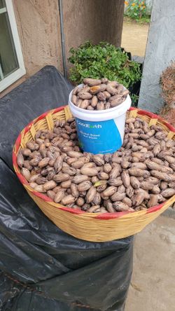 Nueces/pecans