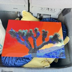 Joshua Tree Art