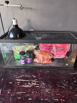 20 Gal Glass Reptile Terrarium with Screen Lid