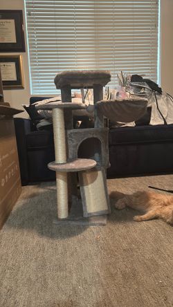 Amazon Gray Cat Tree