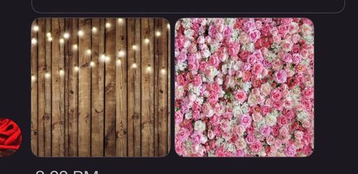 Photography Backdrop w/ stand 8x8