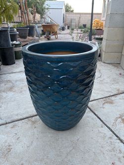 Blue Pot