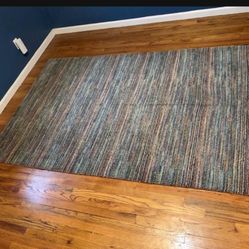 Pottery Barn Area Rug 