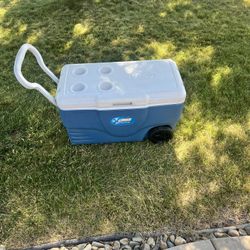 Coleman Ice Chest