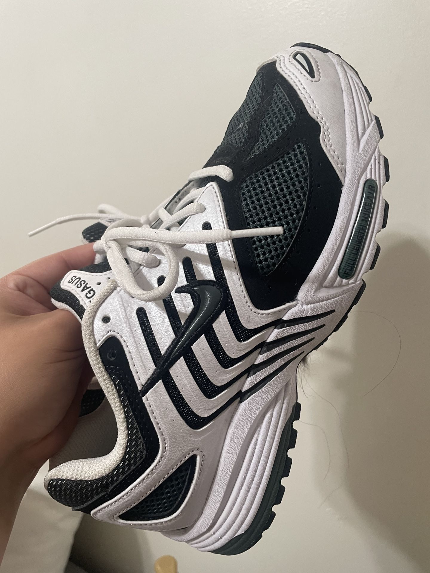 Nikes Shoe