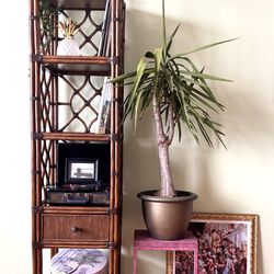 Tommy Bahama Tall Bookcase 6.5 ft