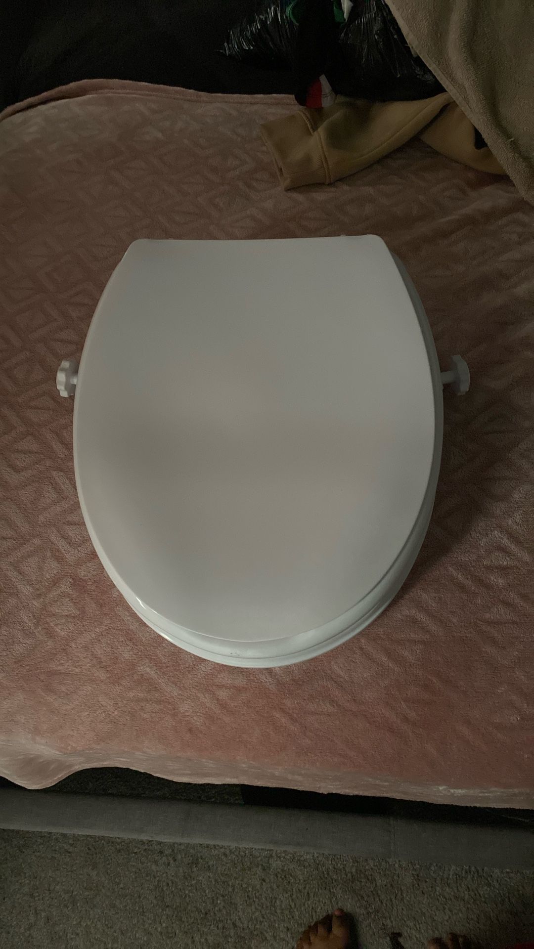 Elderly Or Disabled Toilet Higher