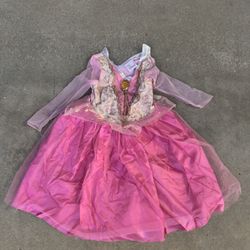 Disney Princess Sleeping Beauty Dress 👗 Costume Halloween 🎃 