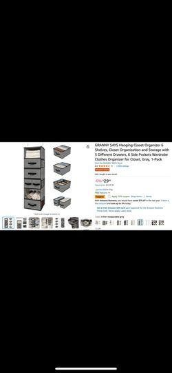 Hanging Closer Organizer 