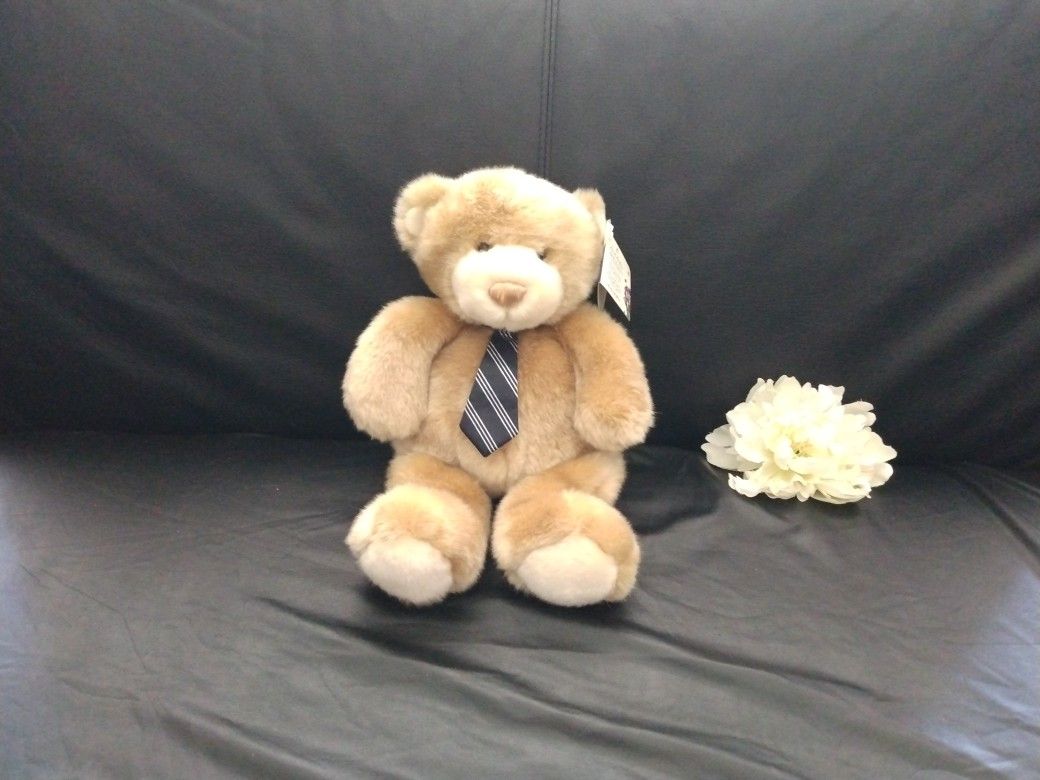 NWT Brooks Brothers Make-a-Wish Foundation Boy Teddy Bear
