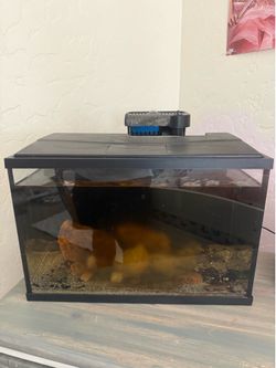 5 gallon aquarium/fish tank