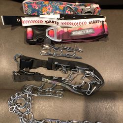 Multiple Dog Collars: Medium - Large