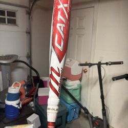 CatX 31 Inch -10