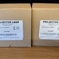(2) Lamps For Dell Projector 2400MP